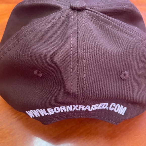 BORN X RAISED "CHESTNUT" SNAPBACK HAT - Picture 4 of 5